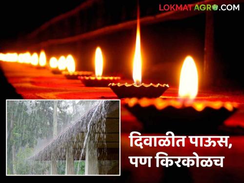 Latest News Maharashtra Rain Update Chance of minor rain in Maharashtra till November 4, know in detail  | Maharashtra Rain Update : 4 नोव्हेंबरपर्यंत महाराष्ट्रात कुठे-कुठे किरकोळ पावसाची शक्यता, जाणून घ्या सविस्तर 