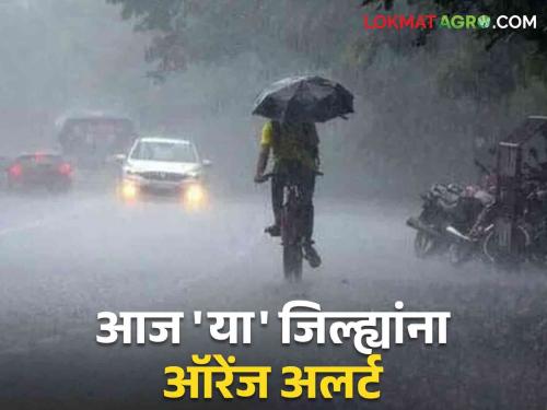 Maharashtra weather update : What alerts in 'these' districts of Konkan, Marathwada, Vidarbha; Read the IMD report in detail  | Maharashtra weather update : कोकण, मराठवाडा, विदर्भातील 'या' जिल्ह्यांत कोणते अलर्ट; IMD रिपोर्ट वाचा सविस्तर 