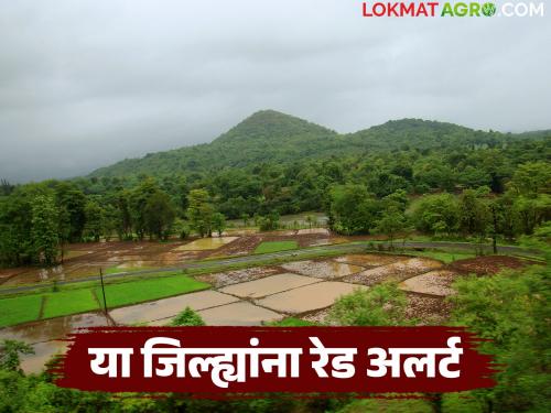 Heavy rain likely in next two-three days; Red alert for these districts | पुढील दोन-तीन दिवसात मुसळधार पावसाची शक्यता; या जिल्ह्यांना रेड अलर्ट