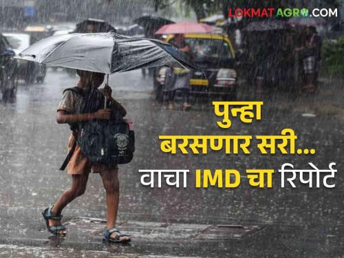 Maharashtra Weather Update: Which districts of Marathwada, Vidarbha have been alerted; Read IMD's detailed report | Maharashtra Weather Update : मराठवाडा, विदर्भातील कोणत्या जिल्ह्यांना दिलाय अलर्ट; IMD चा वाचा सविस्तर रिपोर्ट