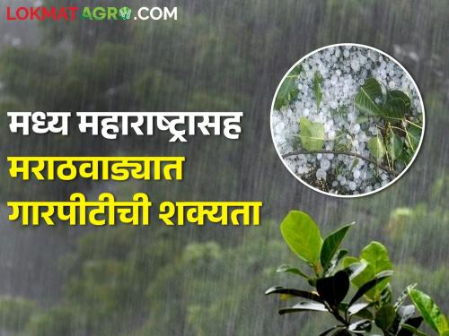 Latest News Chance of unseasonal rain in ten districts of the state, know weather forecast | Weather Update : राज्यातील दहा जिल्ह्यात अवकाळी पावसाची शक्यता, जाणून घ्या हवामान अंदाज 