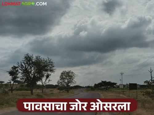 latest news Maharashtra Weather Update: Rains have taken a break; But what is the weather forecast saying? Read the details | Maharashtra Weather Update : पावसाने घेतला ब्रेक; पण काय सांगतोय हवामान अंदाज वाचा सविस्तर