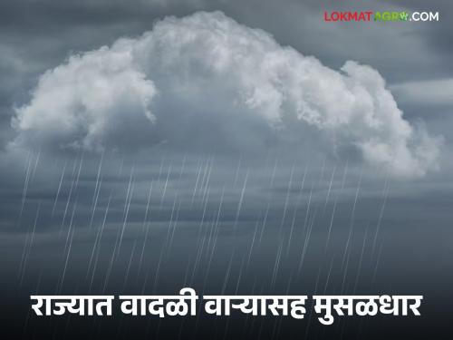 Maharashtra Weather Update : Rain active in September; Red alert for 'these' districts | Maharashtra Weather Update : सप्टेंबरमध्ये पाऊस सक्रिय; 'या' जिल्ह्यांना रेड अलर्ट