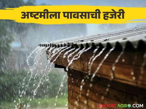 Maharashtra Weather Update : Heavy rain likely in district of maharshtra today Read IMD report in detail | Maharashtra Weather Update : परतीचा पाऊस लांबला; 'या' जिल्ह्यात आज जोरदार पावसाची शक्यता IMD रिपोर्ट वाचा सविस्तर