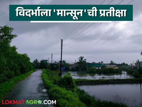 latest news Vidarbha Monsoon Update: Heat wave in Vidarbha; Chance of monsoon only after 'this' date Read in detail | Vidarbha Monsoon Update : विदर्भात उकाड्याची लाट; 'या' तारखेनंतरच पावसाची शक्यता वाचा सविस्तर