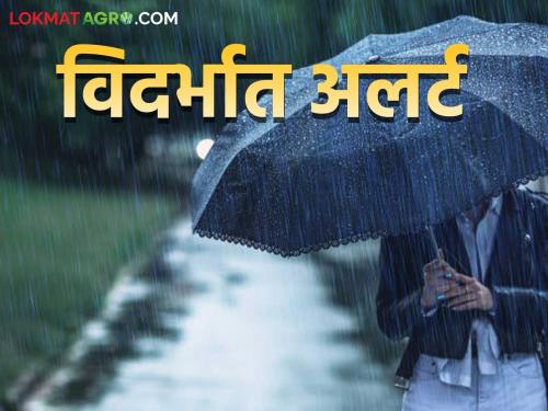 latest news Maharashtra Weather Update: Big change in weather; Where is rain in Maharashtra, where is rest? Read in detail | Maharashtra Weather Update : हवामानात मोठा बदल; महाराष्ट्रात कुठे पाऊस, कुठे विश्रांती? वाचा सविस्तर