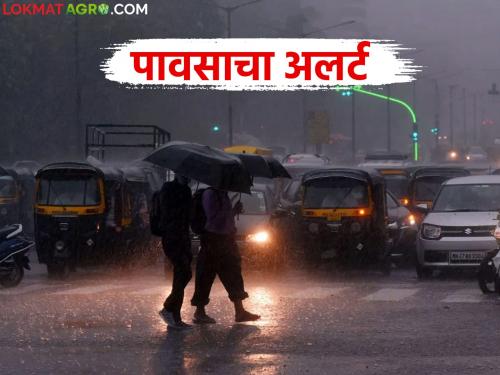 latest news Maharashtra Weather Update: Light showers in Konkan; Read the forecast of heavy rain in 'this' area in detail | Maharashtra Weather Update : कोकणात हलक्या सरी; 'या' भागात मुसळधार पावसाचा अंदाज वाचा सविस्तर