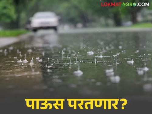 latest news Maharashtra Weather Update: IMD Alert: Read in detail what the Meteorological Department has warned these districts including Marathwada. | Maharashtra Weather Update : IMD अलर्ट : मराठवाड्यासह या जिल्ह्यांना हवामान विभागाने काय दिला इशारा वाचा सविस्तर