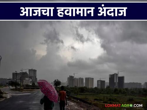latest news Maharashtra Weather Update: Chance of rain again in Maharashtra; Read alert on Ghats in detail | Maharashtra Weather Update : महाराष्ट्रात पुन्हा पावसाची शक्यता; घाटमाथ्यावर अलर्ट वाचा सविस्तर