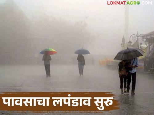 latest news Maharashtra Weather Update: Wave of rain from the Bay of Bengal; Orange alert in these districts Read in detail | Maharashtra Weather Update: बंगालच्या उपसागरातून पावसाची लाट; 'या' जिल्ह्यांत ऑरेंज अलर्ट वाचा सविस्तर