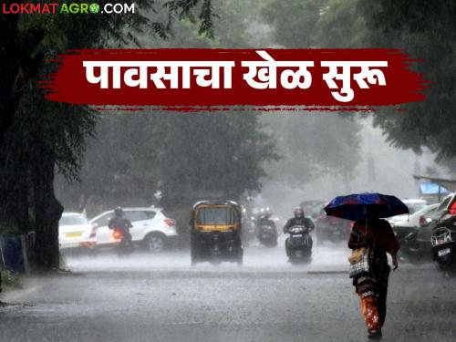 latest news Maharashtra Weather Update: Weather Update: Is there any alert in your district? Read in detail | Maharashtra Weather Update : हवामान अपडेट: तुमच्या जिल्ह्यात कोणता अलर्ट आहे का? वाचा सविस्तर