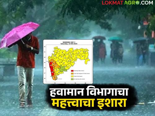 latest news Maharashtra Weather Update: Heavy rain in Konkan; IMD issues alert, read in detail | Maharashtra Weather Update: कोकणात मुसळधार पाऊस; IMD ने जारी केला अलर्ट वाचा सविस्तर