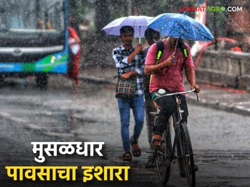 latest news Maharashtra Weather Update: Heavy rain continues; Read the alert given by IMD in detail | Maharashtra Weather Update : पावसाचा जोर कायम; IMD ने काय दिला अलर्ट वाचा सविस्तर