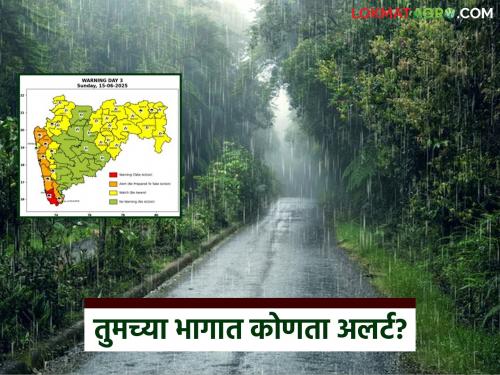 Maharashtra Monsoon Update: Know which alert has been issued by IMD in your district? | Maharashtra Monsoon Update : जाणून घ्या तुमच्या जिल्ह्यात IMD ने दिलाय कोणता अलर्ट?