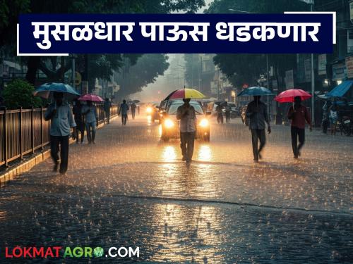 latest news Maharashtra Rain Alert: Heavy rains will hit the state; Read the red alert in 'this' district in detail | Maharashtra Rain Alert: राज्यात मुसळधार पाऊस धडकणार; 'या' जिल्ह्यात रेड अलर्ट वाचा सविस्तर