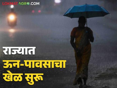 Maharashtra Weather Updates : Chance of rain with gales in Konkan today; Read the IMD report in detail | Maharashtra Weather Updates : कोकणात आज वादळी वाऱ्यांसह पावसाची शक्यता; IMD चा रिपोर्ट वाचा सविस्तर