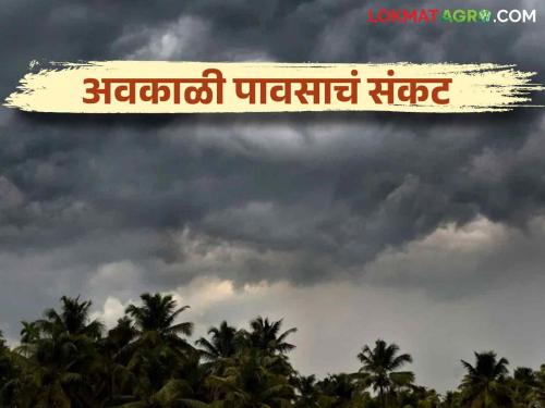 Maharashtra Weather Update : Effect of Cyclonic Circulation; Heavy rain alert in 'these' districts Read IMD report in detail | Maharashtra Weather Update: सायक्लोनिक सर्क्युलेशनचा इफेक्ट; 'या' जिल्ह्यांत मुसळधार पावसाचा अलर्ट IMD चा रिपोर्ट वाचा सविस्तर