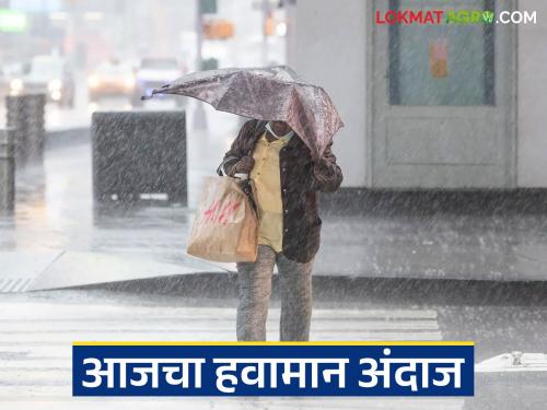 latest news Maharashtra Weather Update: Dahi Handi ceremony in the rain; Red alert for 'these' districts, read in detail | Maharashtra Weather Update : दहीहंडी सोहळा पावसातच; 'या' जिल्ह्यांना रेड अलर्ट वाचा सविस्तर