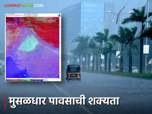 Maharashtra Weather Update : Impact of cyclone in the state; Heavy rain likely in 'these' district Read IMD report for details | Maharashtra Weather Update : राज्यात चक्रीवादळाचा परिणाम ; 'या' जिल्ह्यात मुसळधार पावसाची शक्यता IMD रिपोर्ट वाचा सविस्तर