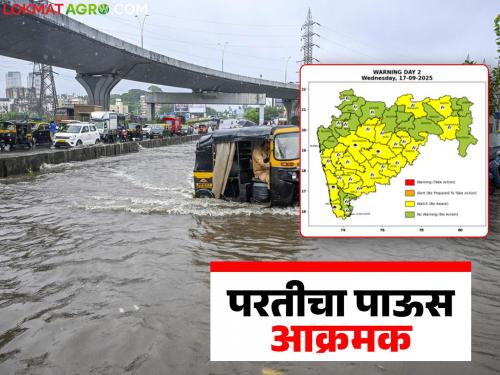 latest news Maharashtra Weather Update: Returning rains are aggressive; Risk of rain across the state for the next 24 hours | Maharashtra Weather Update : परतीचा पाऊस आक्रमक; पुढील २४ तास राज्यभर पावसाचा धोका