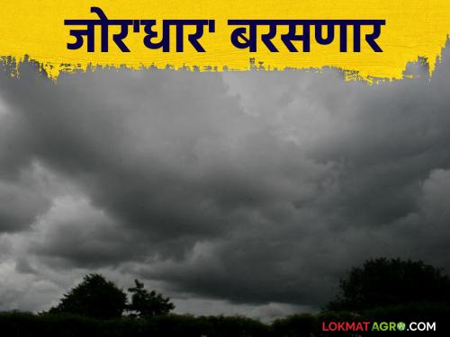 latest news Maharashtra Weather Alert: Warning of heavy rains in May itself; IMD alerts many districts | Maharashtra Weather Alert : मे महिन्यातच मुसळधार पावसाचा इशारा; अनेक जिल्ह्यांना IMD चा अलर्ट