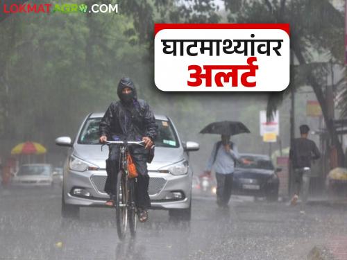 latest news Maharashtra Weather Update: Heavy rains on the Ghats! Dangerous for the next 24 hours; Read the IMD alert in detail | Maharashtra Weather Update : घाटमाथ्यांवर मुसळधार! पुढील २४ तास धोक्याचे; IMD अलर्ट वाचा सविस्तर
