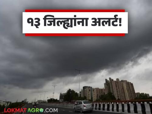 latest news Maharashtra Weather Update: Stormy winds, lightning and heavy rain in the state; Where is red, where is yellow alert? Read in detail | Maharashtra Weather Update : वादळी वारा, विजांचा कडकडाट अन् मुसळधार पाऊस; कुठे रेड, कुठे यलो अलर्ट? वाचा सविस्तर