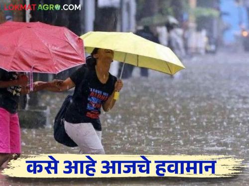 Maharashtra Weather Update : Rain will increase in the state from today | Maharashtra Weather Update : राज्यात आजपासून पावसाचा जोर वाढणार; IMD रिपोर्ट वाचा सविस्तर