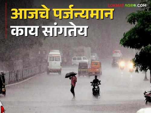 IMD Weather Forecast Report :  | IMD Weather Forcaste Report : जाणून घ्या ; कुठे बरसणार अतिमुसळधार सरी