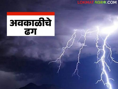 Maharashtra Weather Update: Increase in humidity in the state's weather; Read the reason in detail | Maharashtra Weather Update: राज्यातील वातावरणात आर्द्रतेत वाढ; काय आहे कारण वाचा सविस्तर
