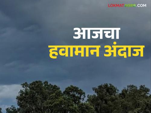 Maharashtra Weather Update : Chance of heavy rain in the state today; Read the IMD report in detail | Maharashtra Weather Update : राज्यात आज जोरदार पावसाची शक्यता; IMD रिपोर्ट वाचा सविस्तर