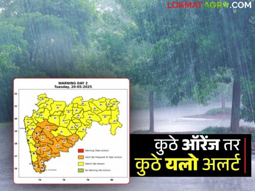 Maharashtra Weather Update: Pre-monsoon rains hit; Orange alert on Ghats, read IMD report in detail | Maharashtra Weather Update: मान्सूनपूर्व पावसाची धडक; घाटमाथ्यावर ऑरेंज अलर्ट वाचा IMD रिपोर्ट सविस्तर