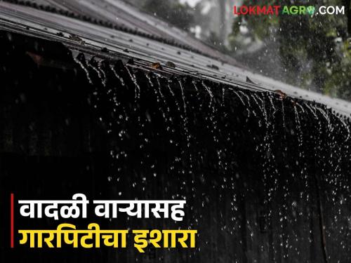 Maharashtra Weather Update : Hailstorm warning along with rain in the state; Read the IMD report in detail | Maharashtra Weather Update : राज्यात पावसाबरोबरच गारपिटीचा इशारा; काय आहे IMD रिपोर्ट वाचा सविस्तर