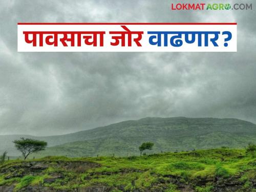 latest news Maharashtra Weather Update: Will the intensity of rain increase or decrease? Read the IMD report in detail. | Maharshtra Weather Update : पावसाचा जोर वाढणार की ओसरणार? काय सांगतो IMD रिपोर्ट वाचा सविस्तर