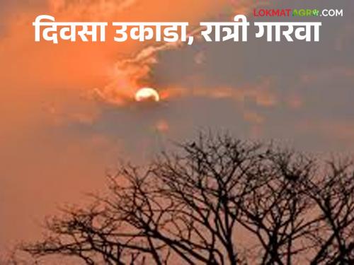 Maharashtra Weather Update: Cold weather will increase in the next few days, read the IMD report in detail | Maharashtra Weather Update : राज्यातील तापमान १० अंशांवर ; येत्या काही दिवसांत थंडी वाढणार IMD चा रिपोर्ट वाचा सविस्तर