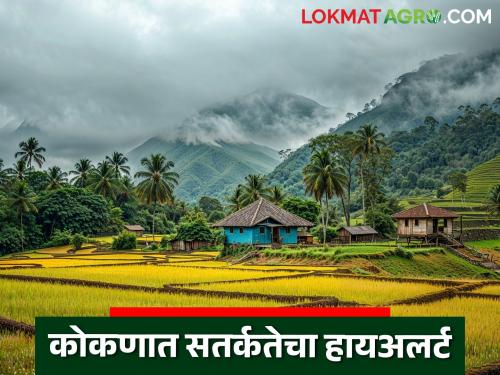 latest news Maharashtra Weather Update: Heavy rain in Maharashtra; Alert for Mumbai-Konkan, high alert at Ghats | Maharashtra Weather Update : महाराष्ट्रात पावसाचा जोर; मुंबई-कोकणसाठी अलर्ट, घाटमाथ्यावर सतर्कतेचा हायअलर्ट