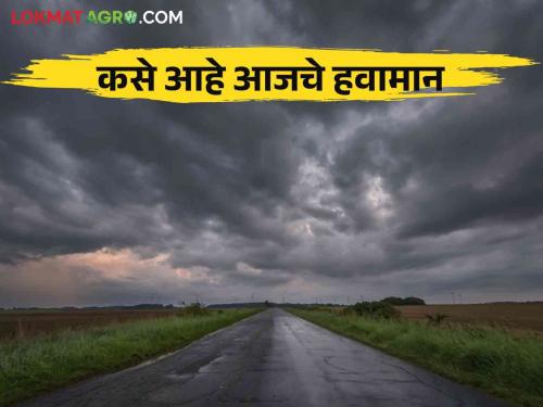 Maharashtra Weather Update : Chance of rain with stormy winds in Konkan, Madhya Maharashtra today; Read the IMD report in detail | Maharashtra Weather Update : आज कोकण, मध्य महाराष्ट्रात वादळी वाऱ्यांसह पावसाची शक्यता; IMD चा रिपोर्ट वाचा सविस्तर