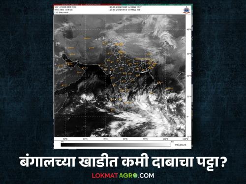 Maharashtra Weather Update : Low pressure zone in Bay of Bengal; What will happen in Maharashtra? Read the IMD report in detail | Maharashtra Weather Update : बंगालच्या उपसागरात कमी दाबाचा पट्टा; काय होणार महाराष्ट्रावर परिणाम IMD रिपोर्ट वाचा सविस्तर