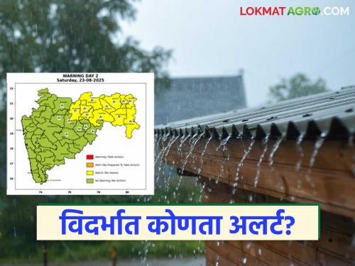 latest news Maharashtra Weather Update: IMD's weather forecast: Where in the state will there be heavy rain in the next 24 hours? Read in detail | Maharashtra Weather Update: IMD चा हवामान अंदाज : पुढील २४ तासांत राज्यात कुठे मुसळधार पाऊस? वाचा सविस्तर