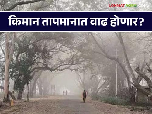 Maharashtra Weather Update : Fluctuation in minimum temperature likely; Read the IMD report in detail | Maharashtra Weather Update : किमान तापमानात चढ - उतार होण्याची शक्यता; IMD चा रिपोर्ट वाचा सविस्तर