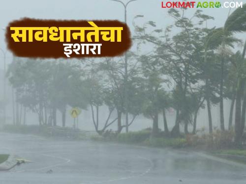 latest news Maharashtra Weather Update: Red Alert On! Read the warning of heavy rain in Konkan, Pune, Vidarbha in detail | Maharashtra Weather Update : रेड अलर्ट ऑन! कोकण, पुणे, विदर्भात मुसळधार पावसाचा इशारा वाचा सविस्तर