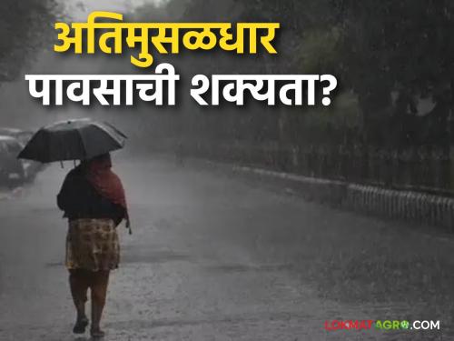 latest news Maharashtra Weather Update: Heavy rains in some places and rains with thunder and lightning in others; Know the IMD report | Maharashtra Weather Update : कुठे मुसळधार तर कुठे विजांच्या कडकडाटासह पाऊस; जाणून घ्या IMD रिपोर्ट