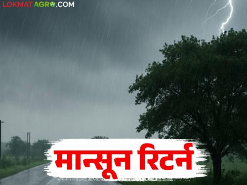 latest news Maharashtra Weather Update : Monsoon returns: Heavy rain, hailstorm in the state including Vidarbha for four days! read in details | Maharashtra Weather Update : मान्सून रिटर्न : विदर्भासह राज्यात पुन्हा मुसळधार पाऊस! वाचा सविस्तर