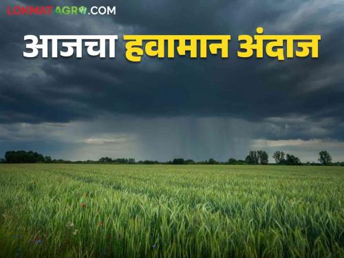 Maharashtra Weather Update: Heavy rain likely in Vidarbha; Read the IMD report in detail  | Maharashtra Weather Update : विदर्भात मुसळधार पावसाची शक्यता ; IMD चा रिपोर्ट वाचा सविस्तर 