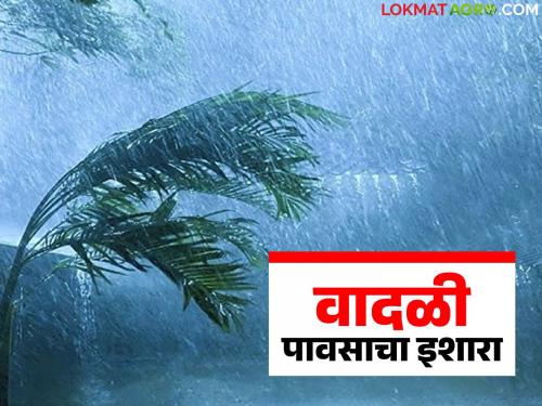 latest news Maharashtra Weather Update: Thunderstorms in the state; Warning of heavy rainfall in these districts | Maharashtra Weather Update : राज्यात वादळी पावसाचा धडाका; 'या' जिल्ह्यांत अतिवृष्टीचा इशारा