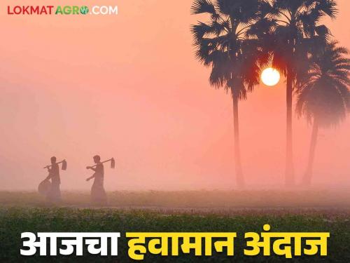 Maharashtra Weather Update : cold remains in the state; Read the report of Gartha IMD in 'Ya' district in detail | Maharashtra Weather Update : राज्यात हुडहुडी कायम ; 'या' जिल्हात गारठा IMD चा रिपोर्ट वाचा सविस्तर