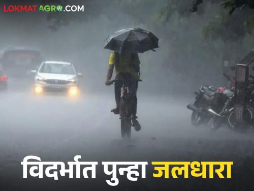 latest news Maharashtra Weather Update: Heavy rain in Vidarbha, Konkan; Alert issued till September 28 Read in detail | Maharashtra Weather Update : विदर्भ, कोकणात मुसळधार पाऊस; २८ सप्टेंबरपर्यंत सतर्कतेचा इशारा वाचा सविस्तर