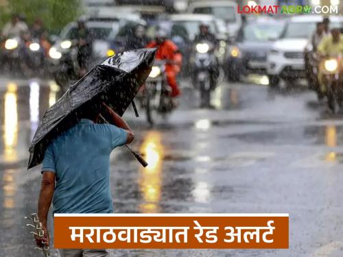 latest news Marathwada Red Alert: 'Red Alert' for two days in Marathwada; Read the warning of heavy rain in detail | Marathwada Red Alert : मराठवाड्यात दोन दिवस 'रेड अलर्ट'; मुसळधार पावसाचा इशारा वाचा सविस्तर