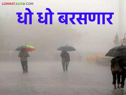 latest news Heavy rains in Maharashtra : Maharashtra in the grip of rain! Where will it rain heavily? Read in detail | Maharashtra Weather Update: पावसाच्या तडाख्यात महाराष्ट्र! कुठे बरसणार जोरदार सरी? वाचा सविस्तर