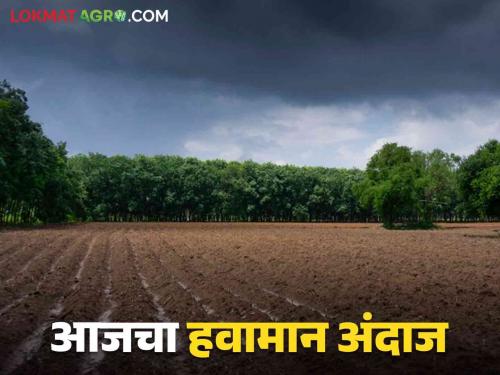 Maharashtra Weather Update : 'This' district will receive rain with stormy winds; Read the IMD report in detail  | Maharashtra Weather Update : 'या' जिल्ह्यात वादळी वाऱ्यासह बरसणार ; IMD चा रिपोर्ट वाचा सविस्तर 